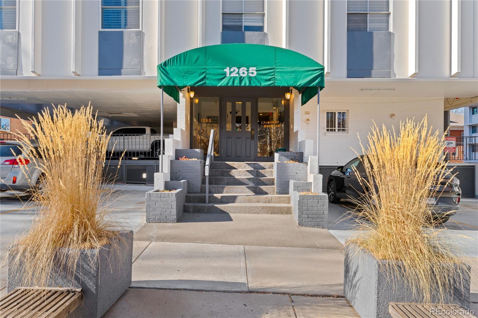 Report Image #1 for 1265  Race Street,Denver, Colorado