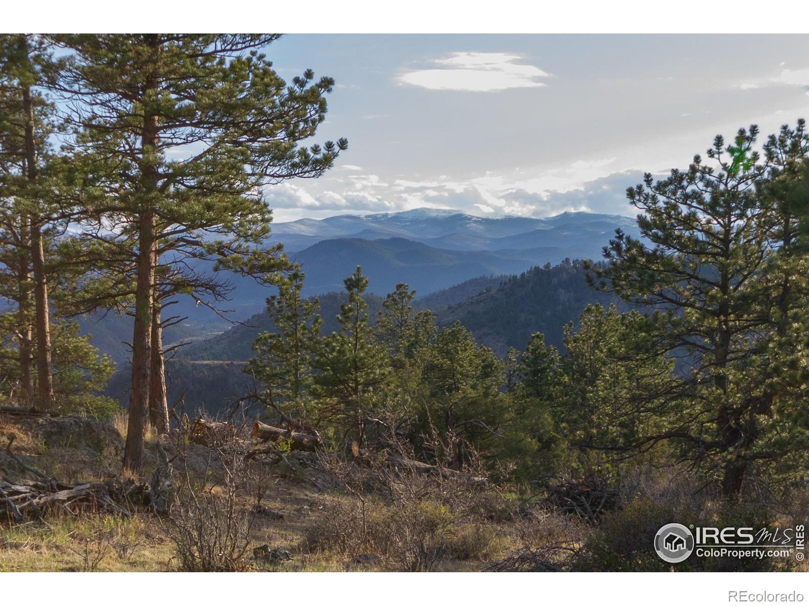 Report Image #1 for 615  Guardian Peak Drive,Livermore, Colorado