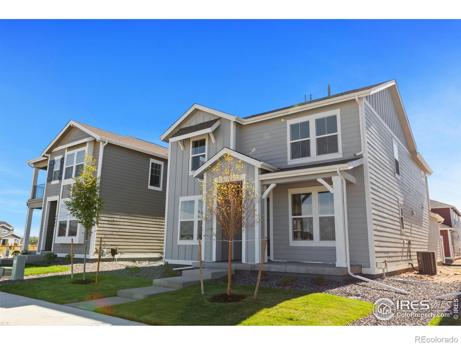Report Image #1 for 4486  Burl Street,Timnath, Colorado