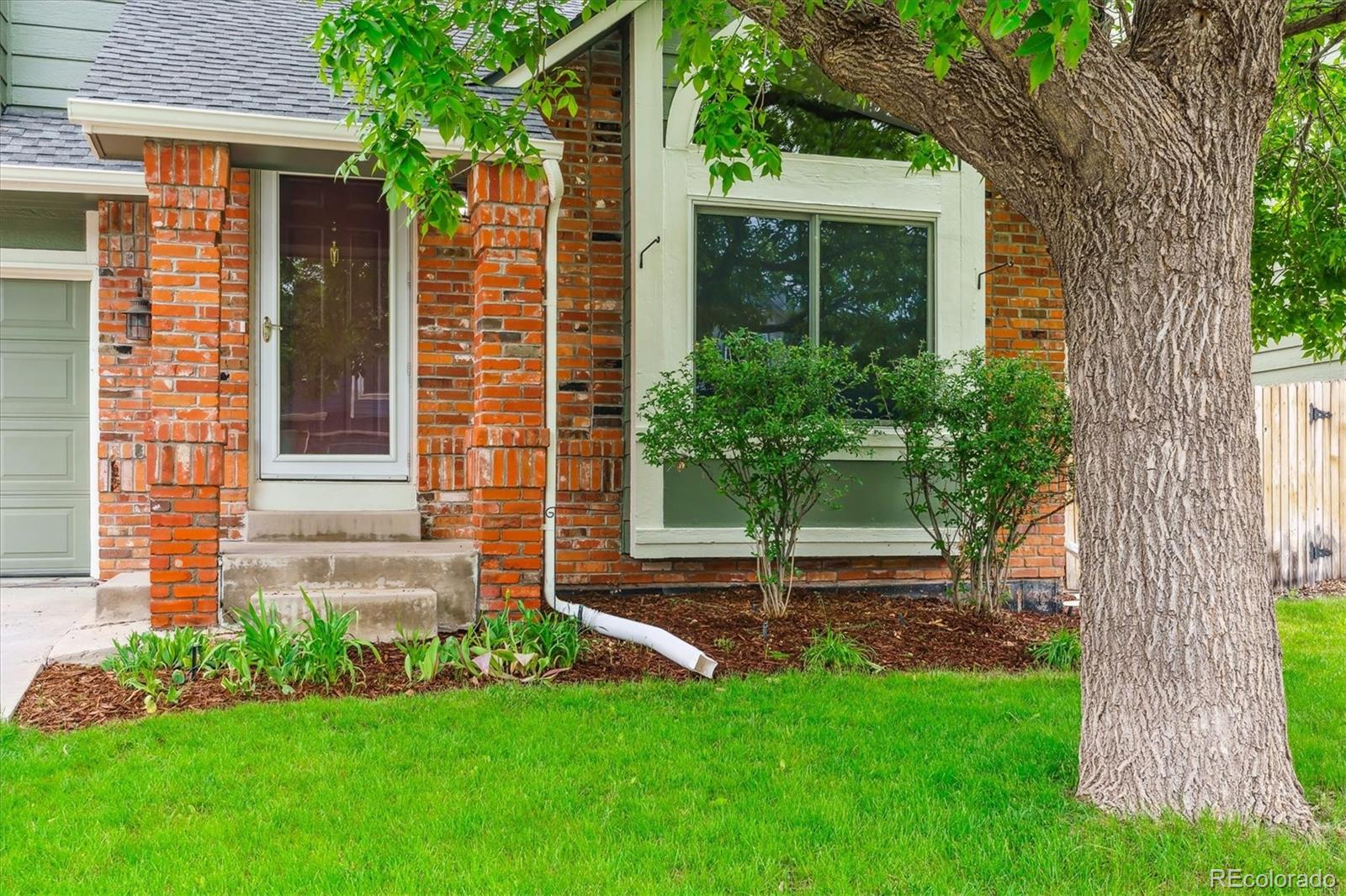 Report Image #1 for 156 S Lindsey Street,Castle Rock, Colorado