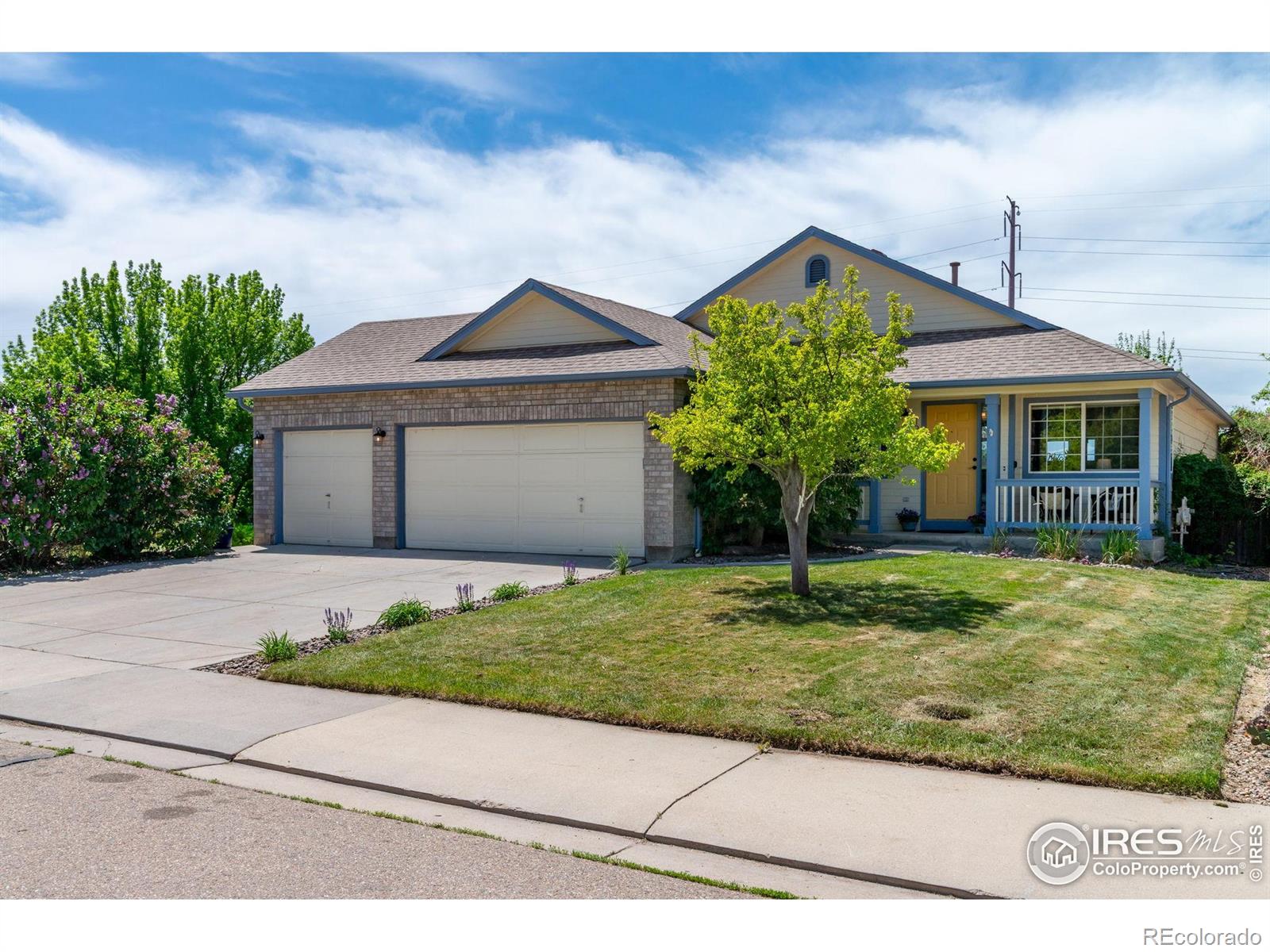Report Image #1 for 1264  Banner Circle,Erie, Colorado