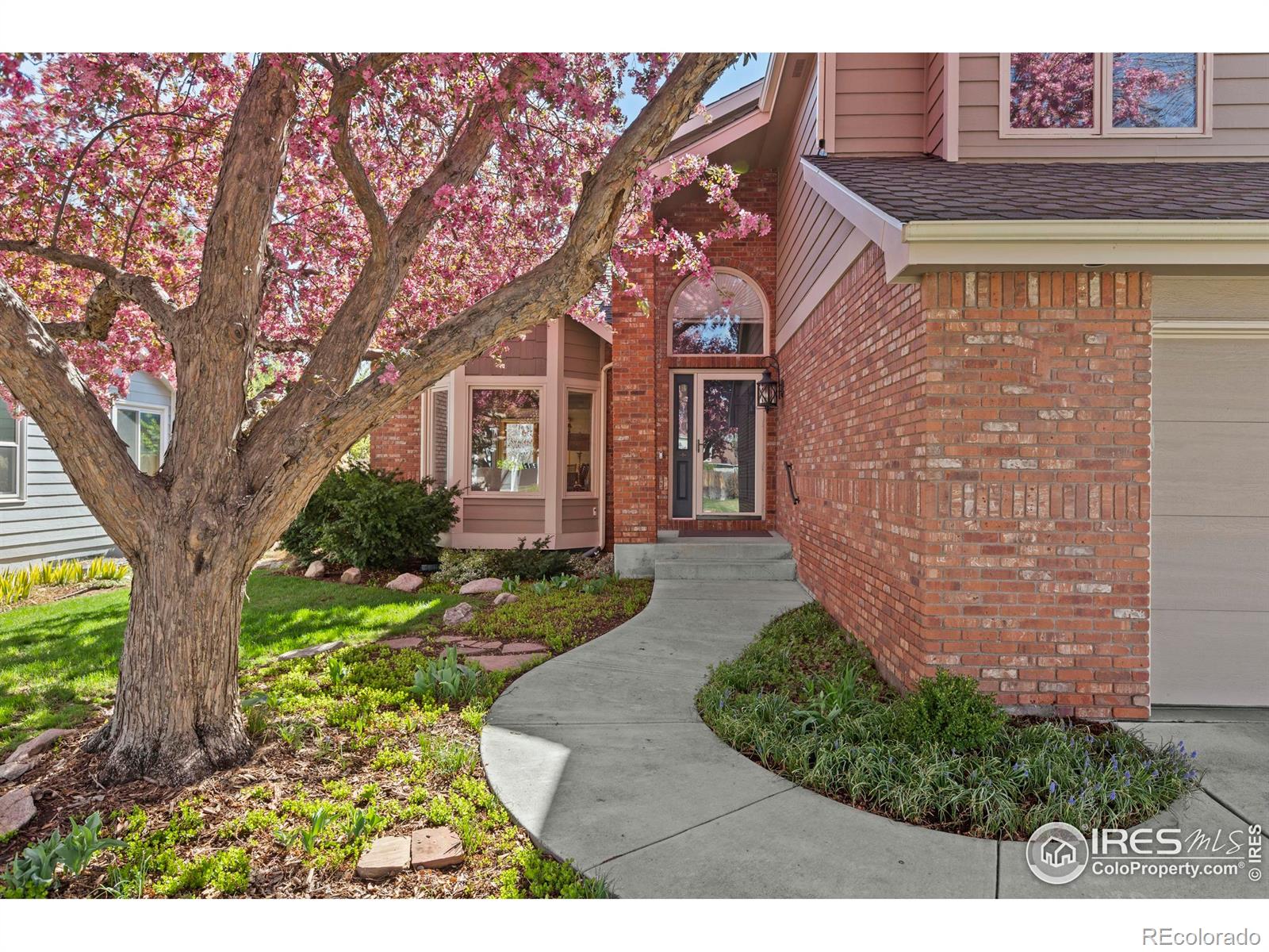 Report Image #1 for 3712  Rochdale Drive,Fort Collins, Colorado