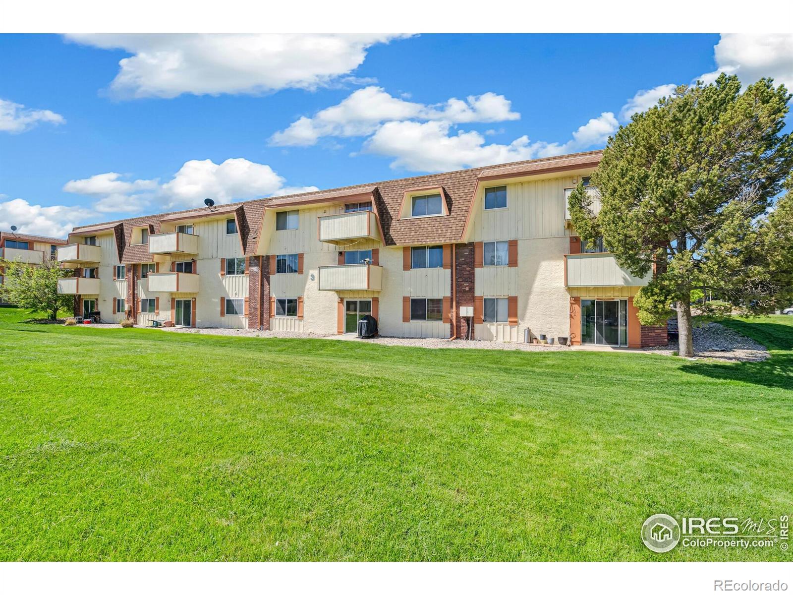 Report Image #1 for 10211  Ura Lane,Thornton, Colorado