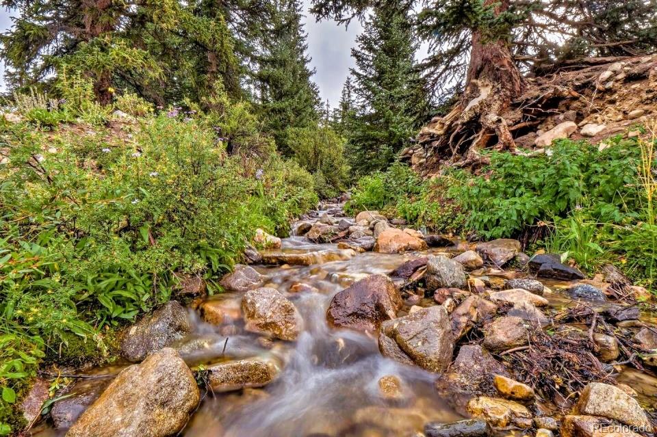 Report Image #1 for 201  Nuthatch Drive ,Alma, Colorado