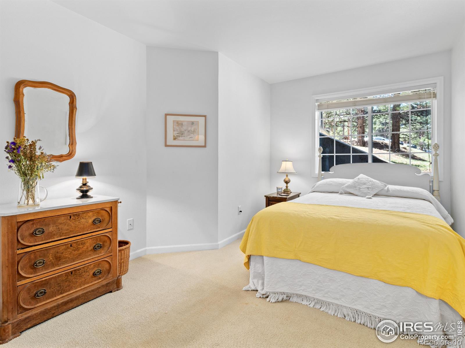 Report Image #1 for 160  Riverside Drive,Estes Park, Colorado