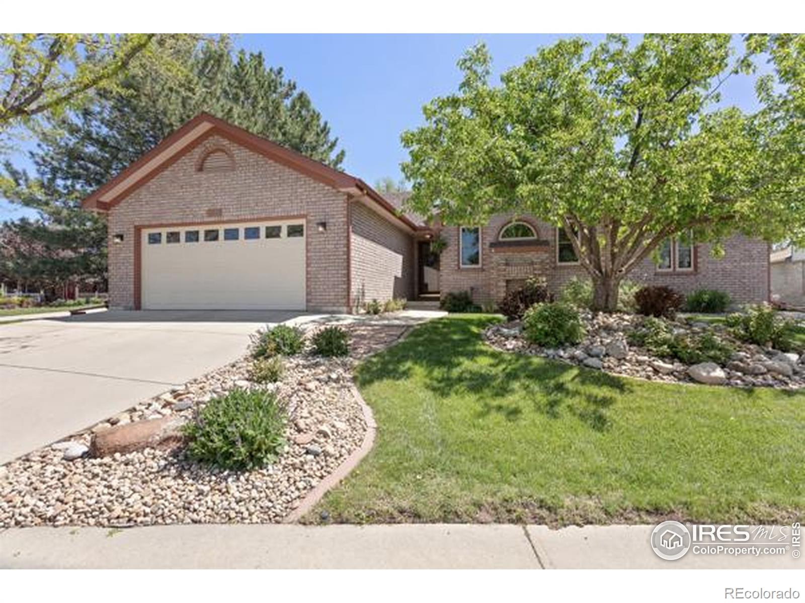 Report Image #1 for 2318  Spindrift Drive,Longmont, Colorado