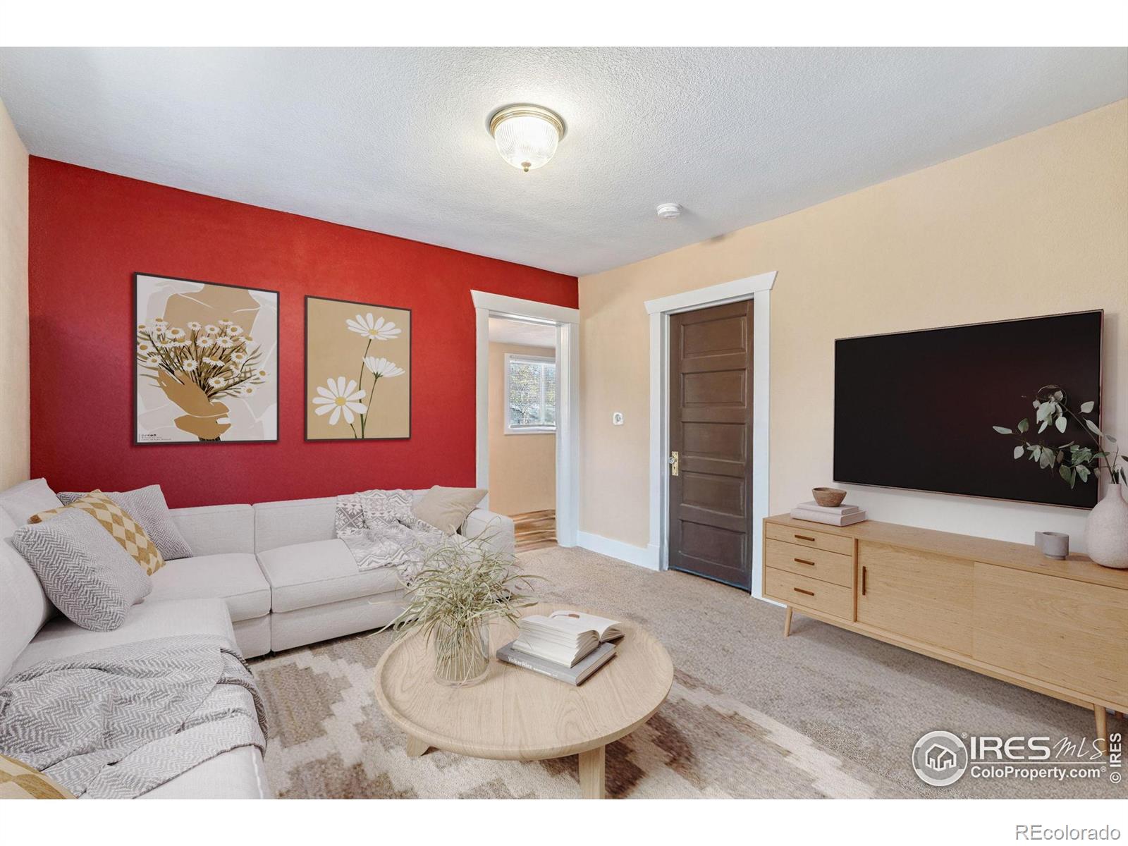 Report Image #1 for 6058 S Hill Street,Littleton, Colorado