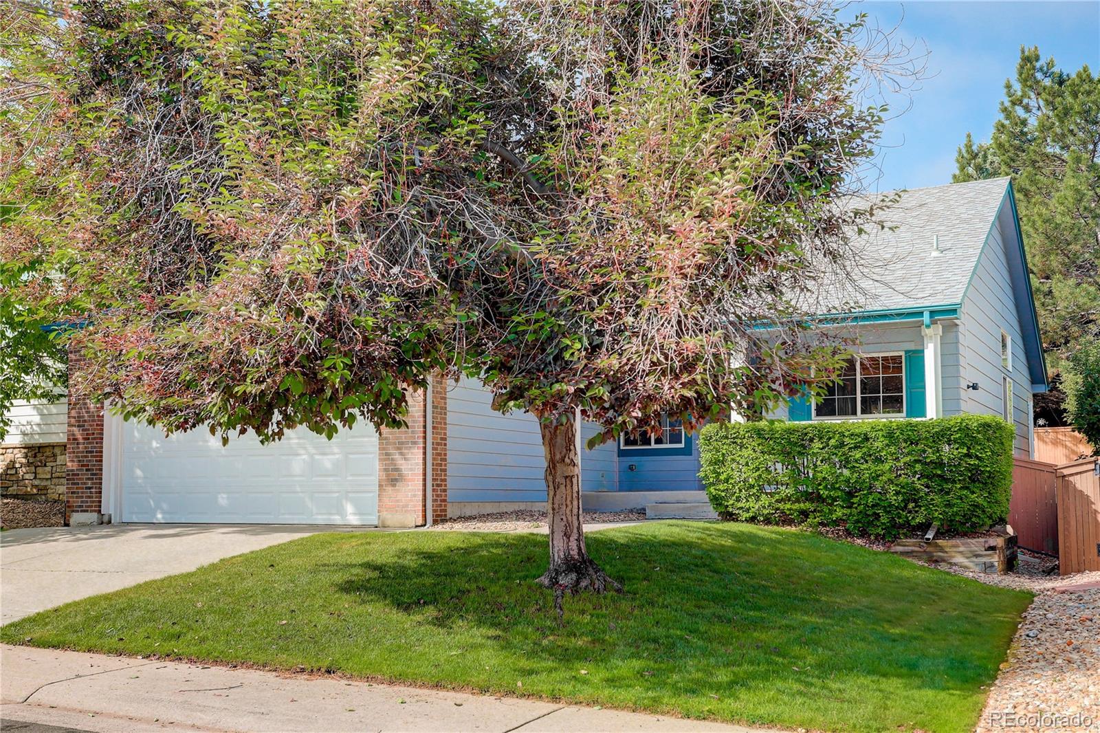 Report Image #1 for 354  Willowick Circle,Highlands Ranch, Colorado
