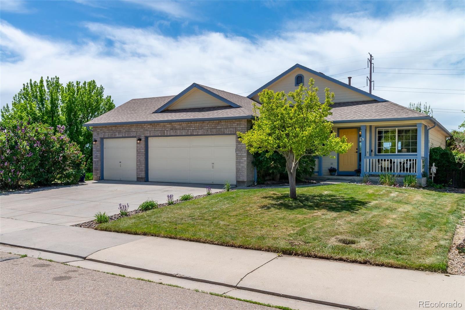 Report Image #1 for 1264  Banner Circle,Erie, Colorado