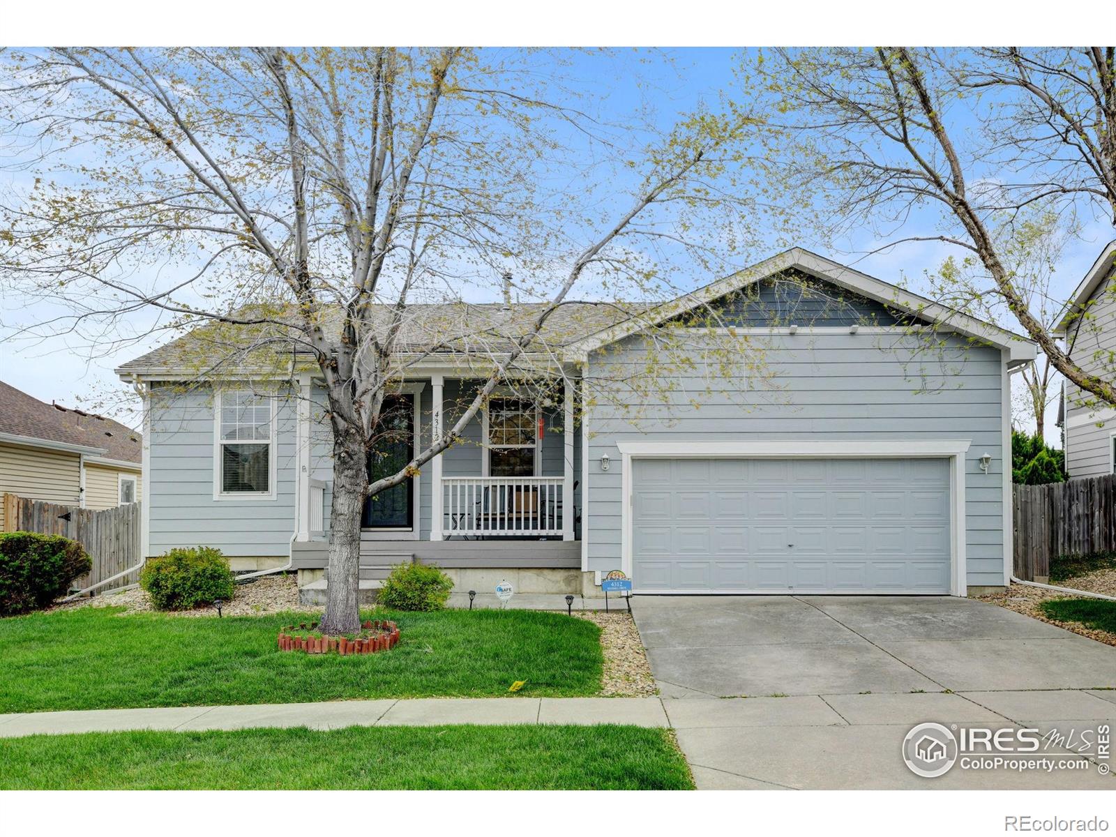 Report Image #1 for 4312  Windmill Drive,Brighton, Colorado