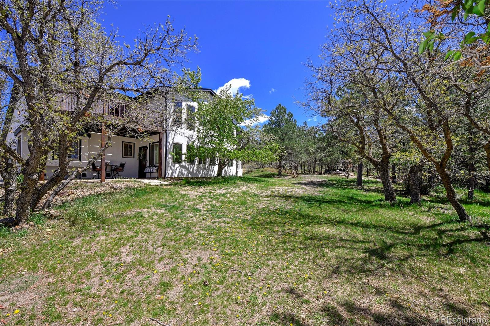 Report Image #1 for 1673  Woodmoor Drive,Monument, Colorado