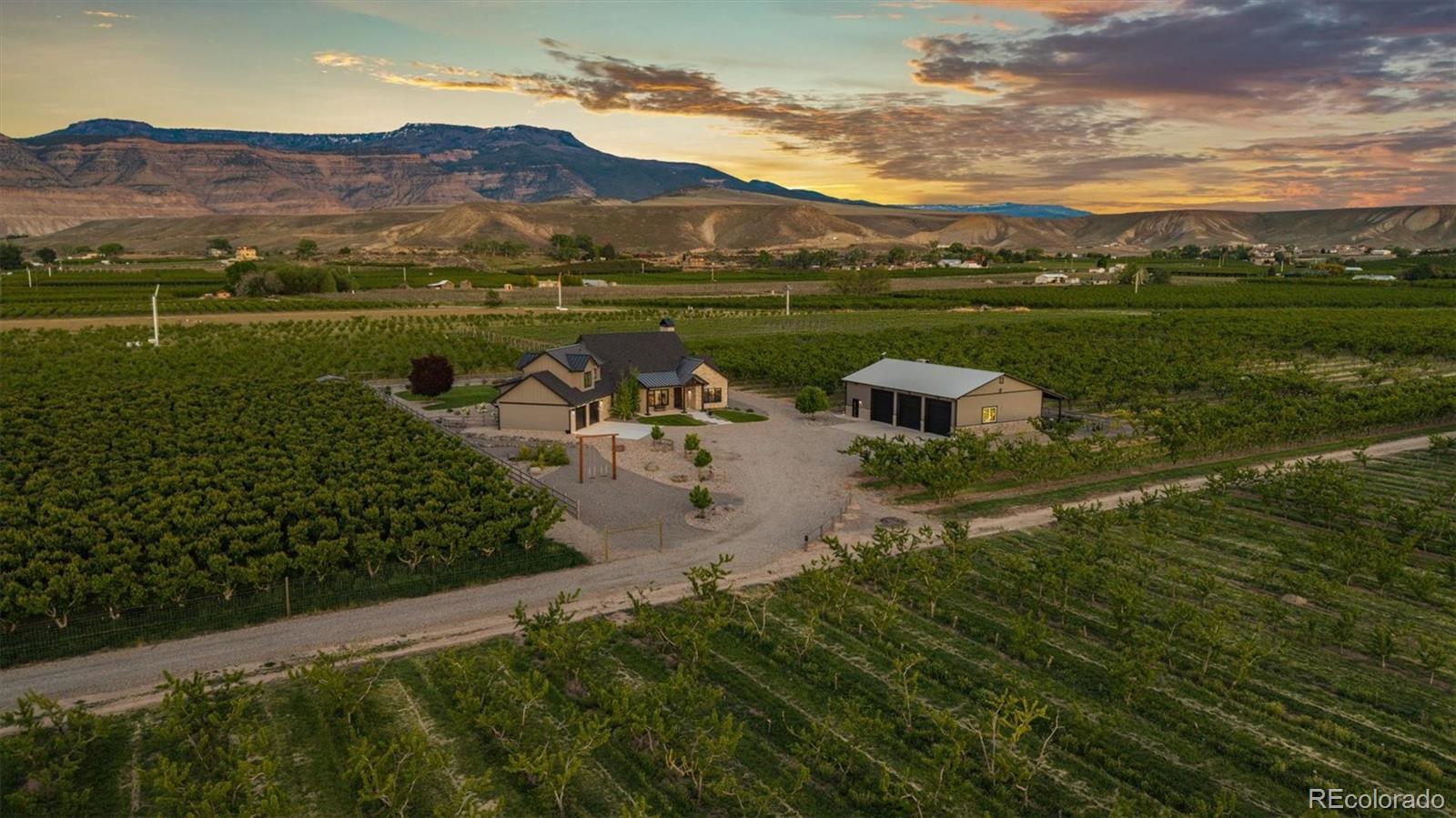 Report Image #1 for 3633  F Road,Palisade, Colorado