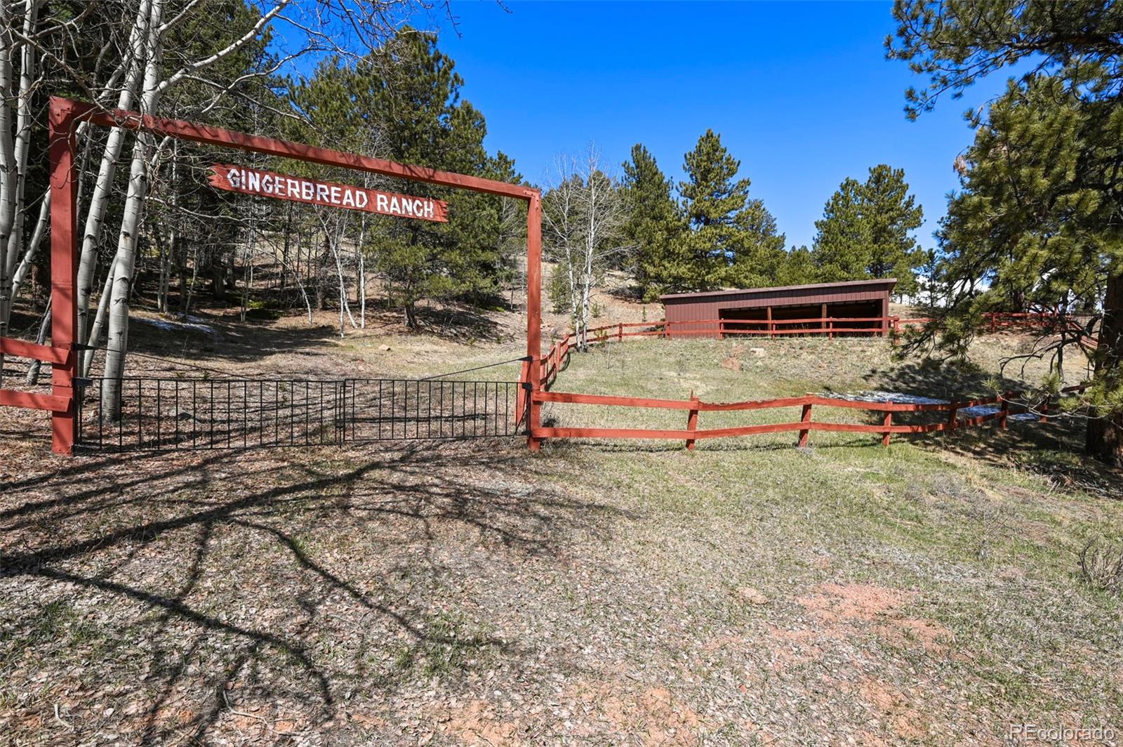 Report Image #1 for 193  Independence Drive,Cripple Creek, Colorado