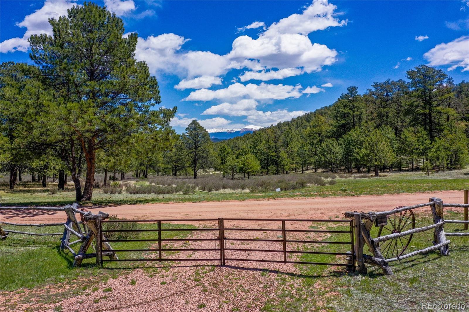 Report Image #1 for 437  Langnis Road,Guffey, Colorado