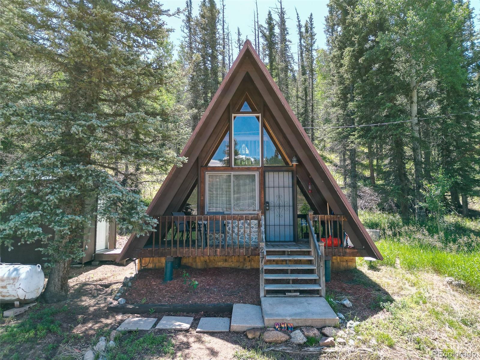 Report Image #1 for 274  Midland Road,Florissant, Colorado