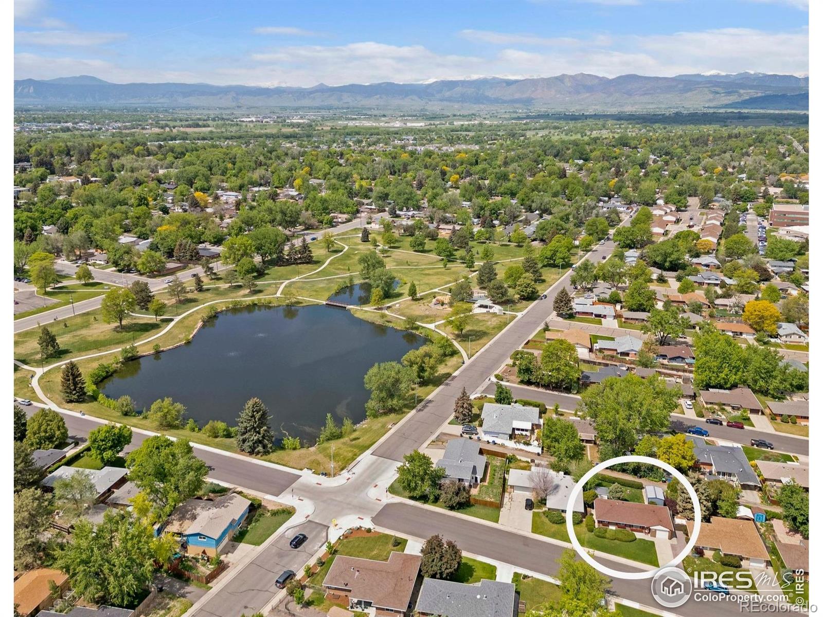Report Image #1 for 1229  Juniper Street,Longmont, Colorado