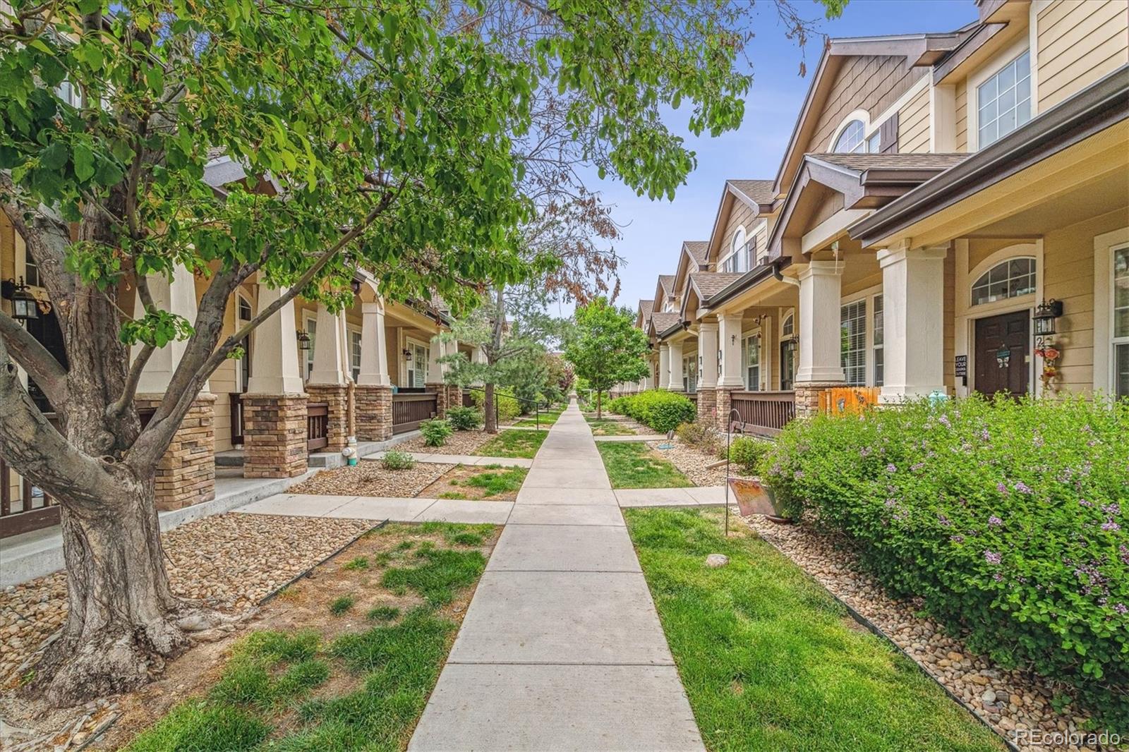 Report Image #1 for 1466  Turnberry Drive,Castle Rock, Colorado