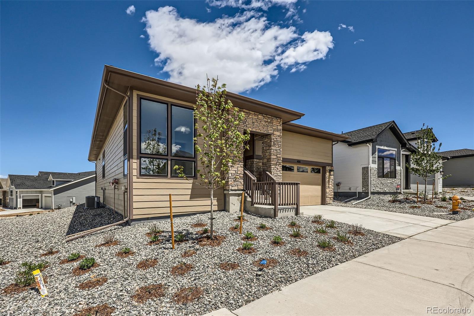 Report Image #1 for 400  Basin Daisy Street,Castle Rock, Colorado