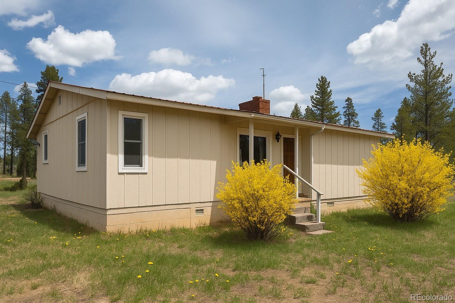 Report Image # for 23976  County Rd 50 ,Fraser, Colorado