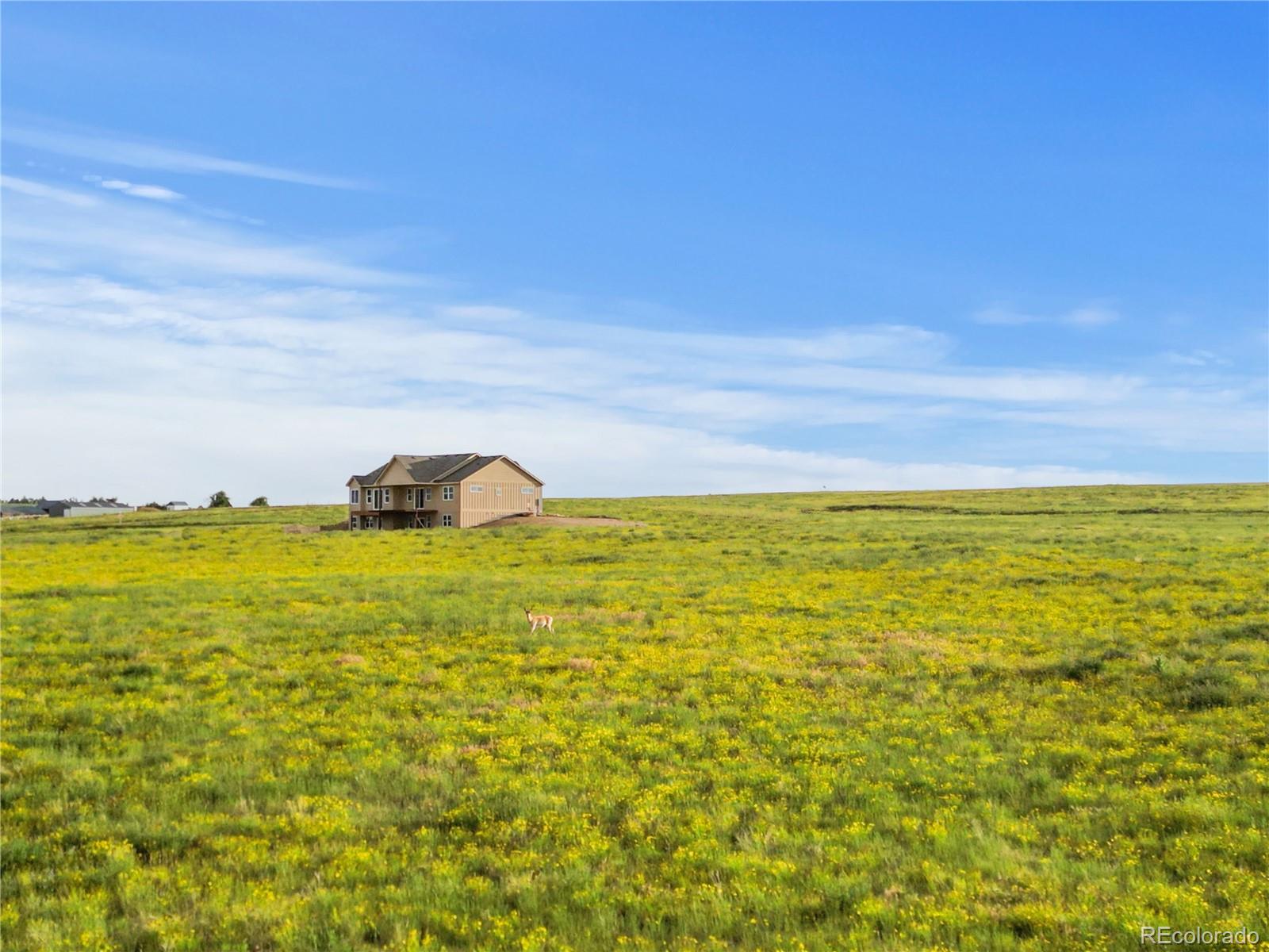 Report Image #1 for 35652  Happiness Trail,Kiowa, Colorado