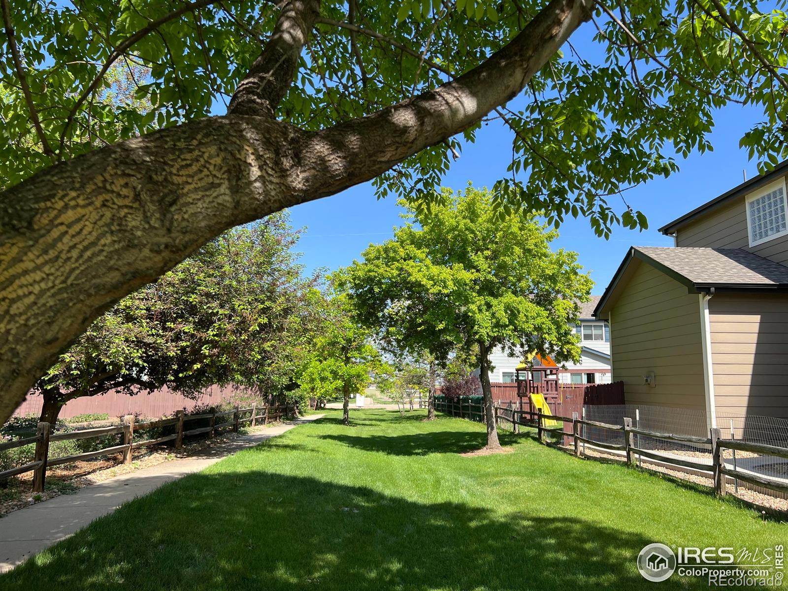 Report Image #1 for 1574  Goshawk Drive,Longmont, Colorado