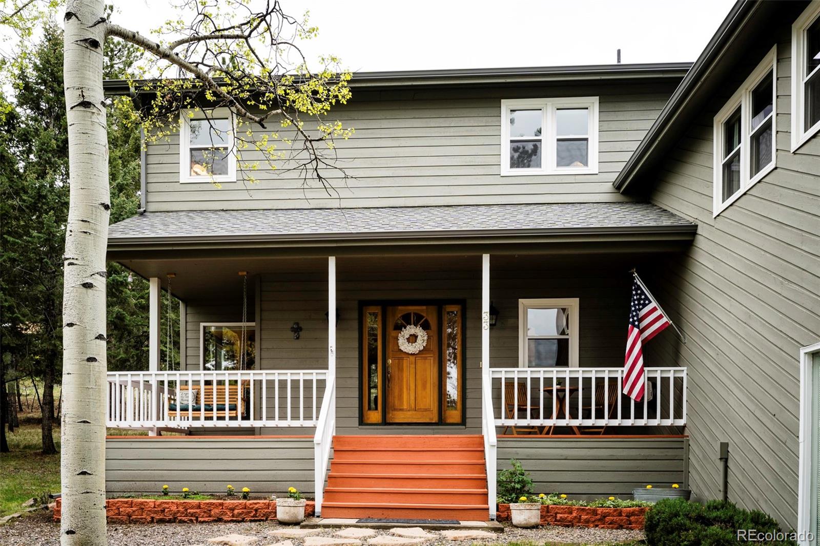Report Image #1 for 33  Sparrow Court,Bailey, Colorado