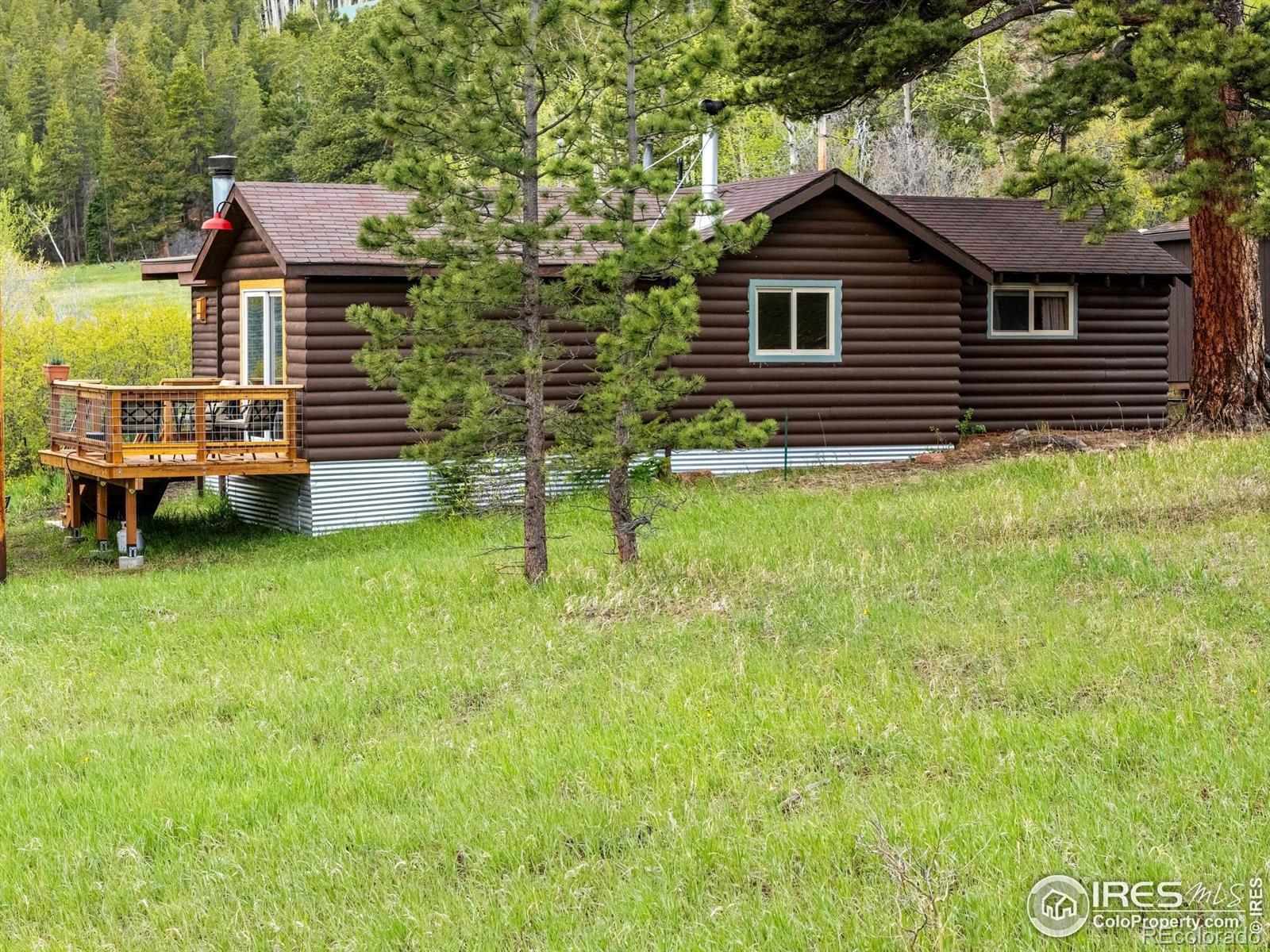 Report Image #1 for 175  Ironclad View Road,Allenspark, Colorado