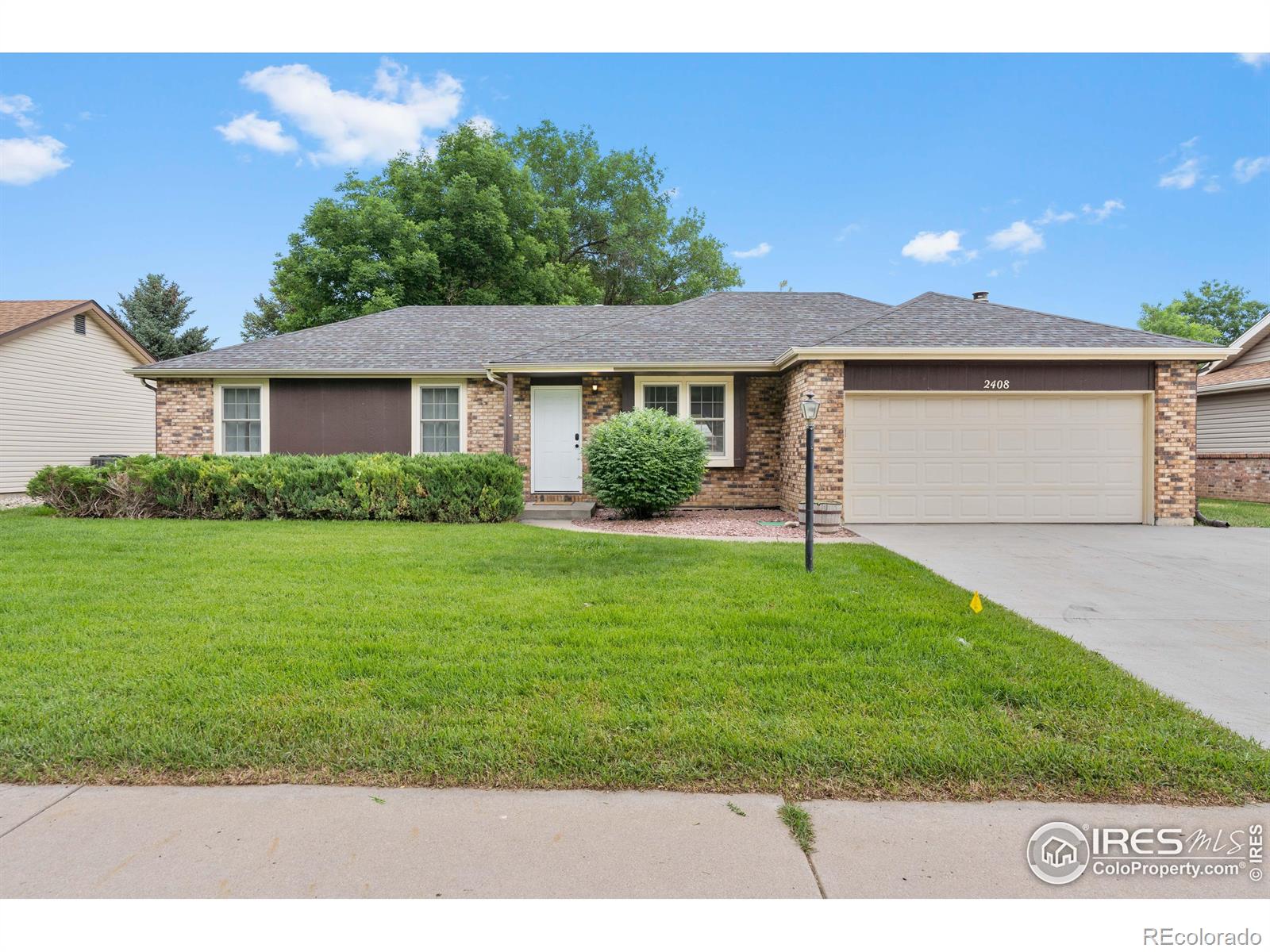 Report Image #1 for 2408  Albany Avenue,Loveland, Colorado