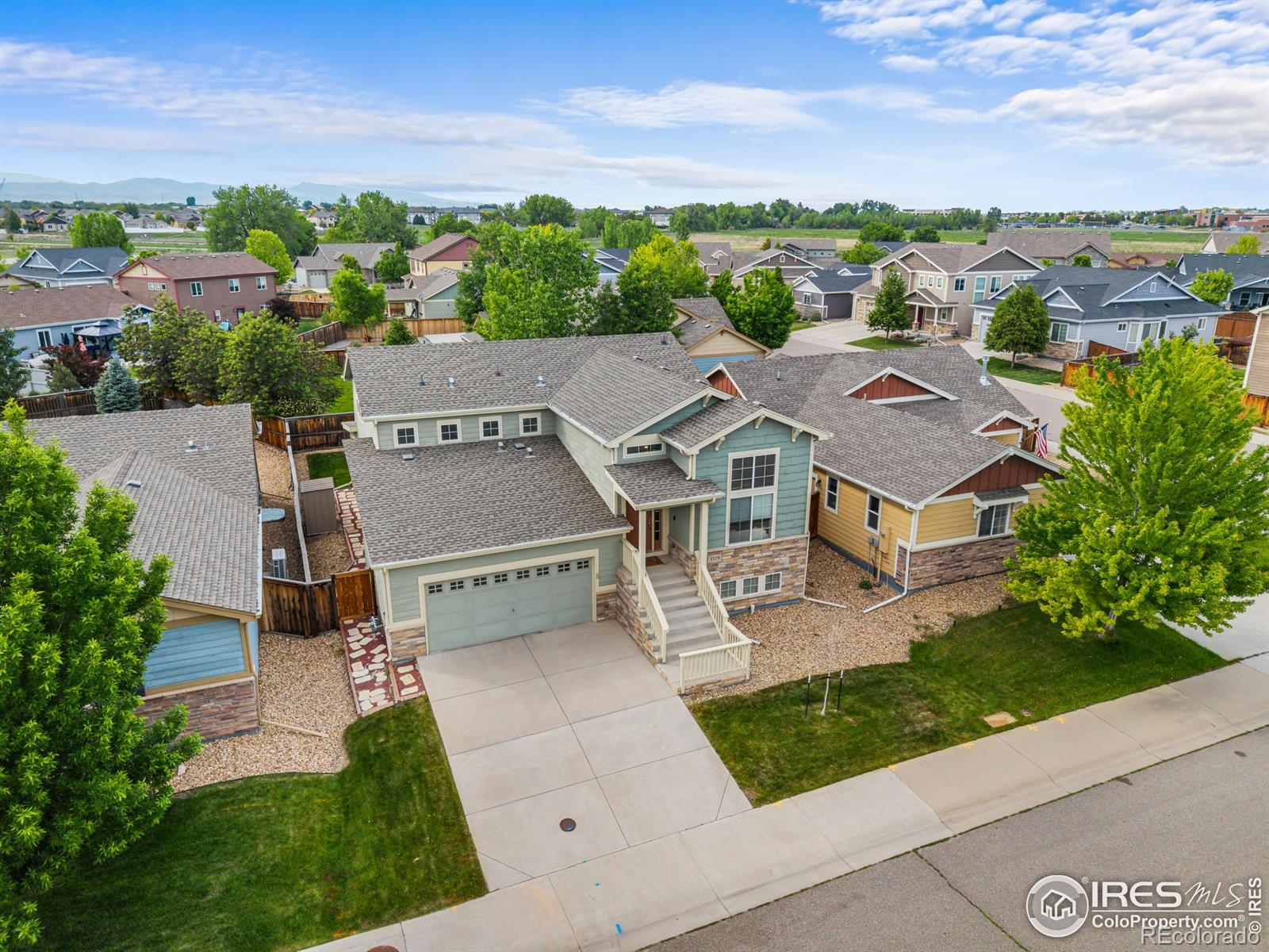 Report Image #1 for 3379  Janus Drive,Loveland, Colorado