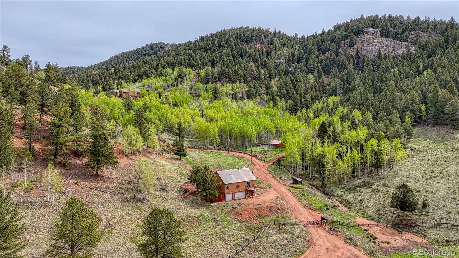 Report Image #1 for 18766  State Highway 67 ,Divide, Colorado