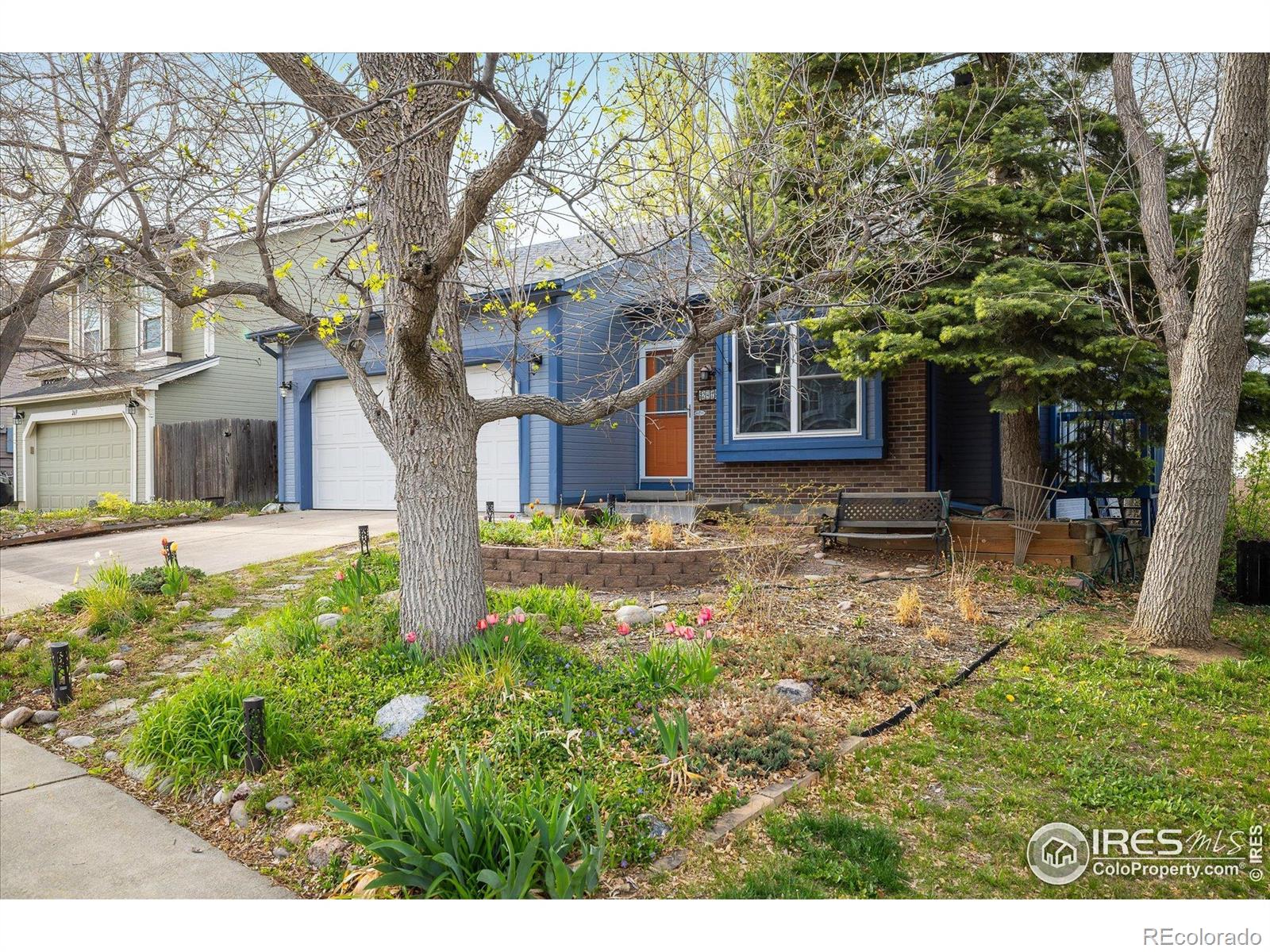 Report Image #1 for 247  Regal Street,Louisville, Colorado