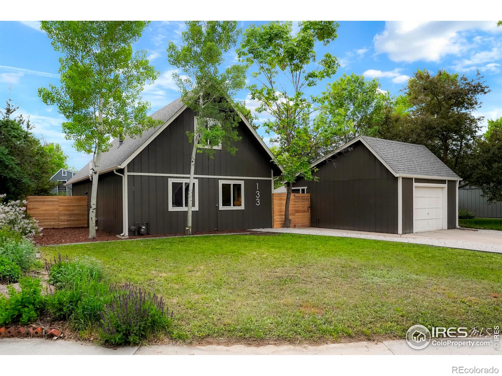 Report Image #1 for 133  Placer Avenue,Longmont, Colorado
