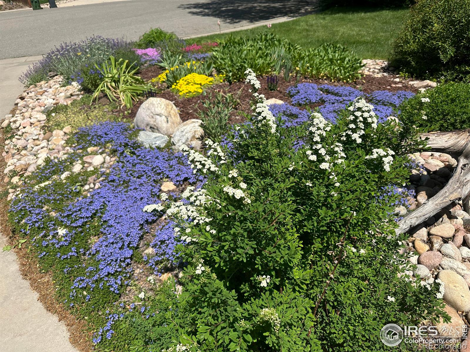 Report Image #1 for 3028  Minnesota Place,Loveland, Colorado