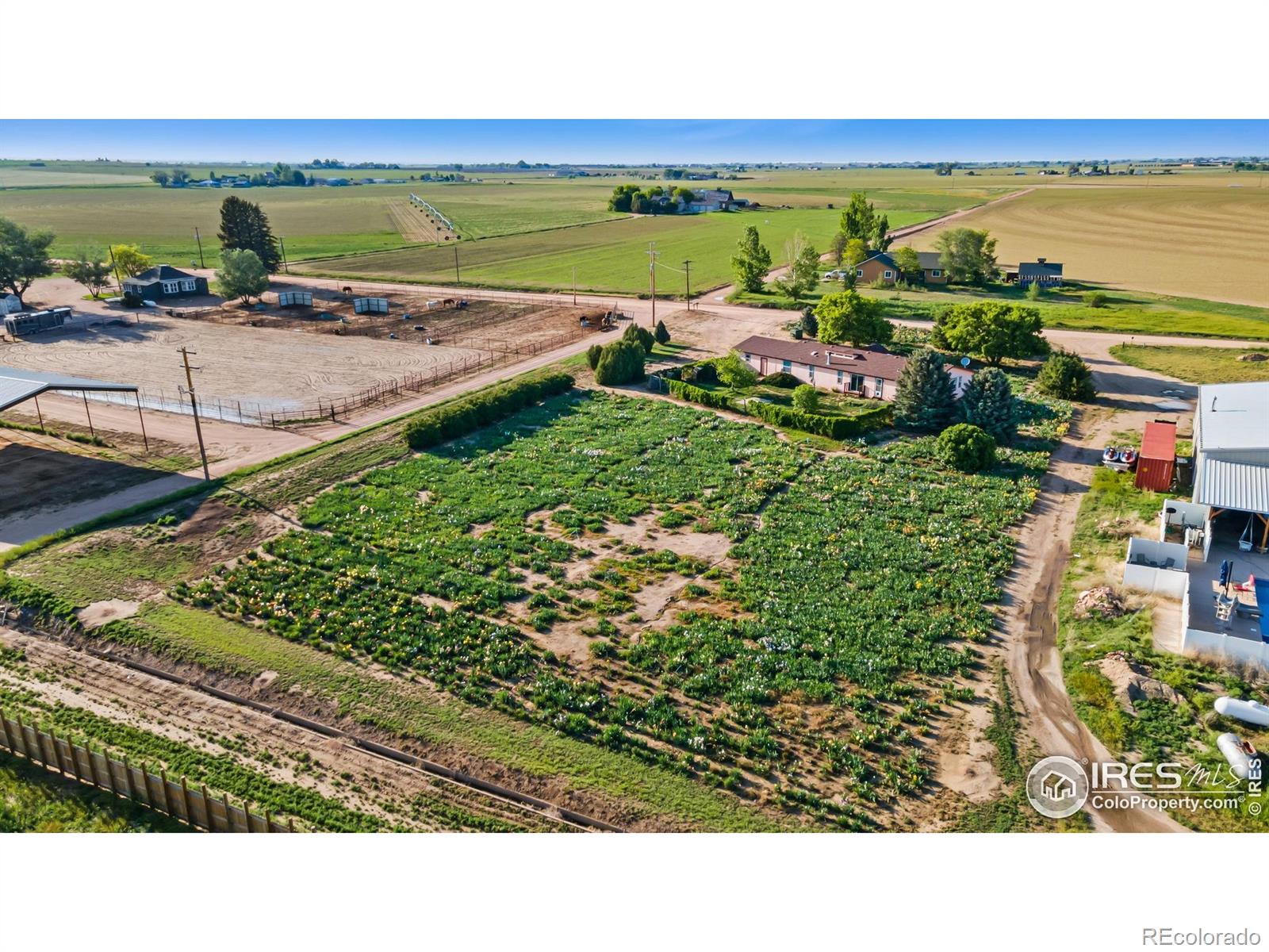 Report Image #1 for 20524  County Road 76 ,Eaton, Colorado