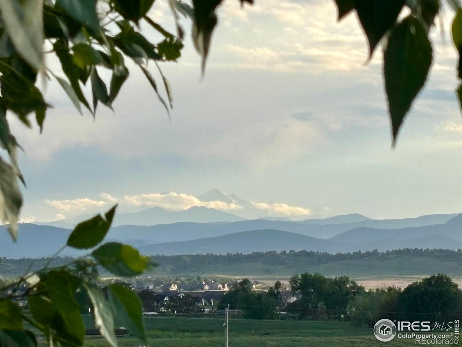 Report Image # for 6355  Tongass Avenue,Loveland, Colorado