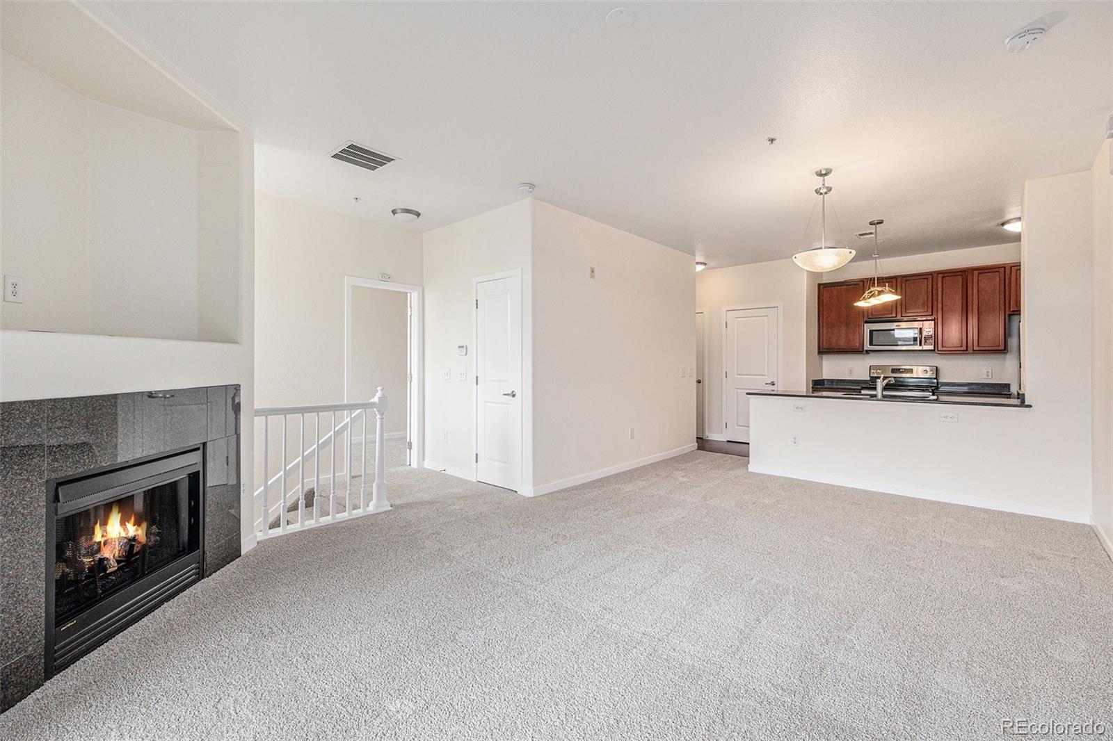 Report Image #1 for 4100  Albion Street,Denver, Colorado