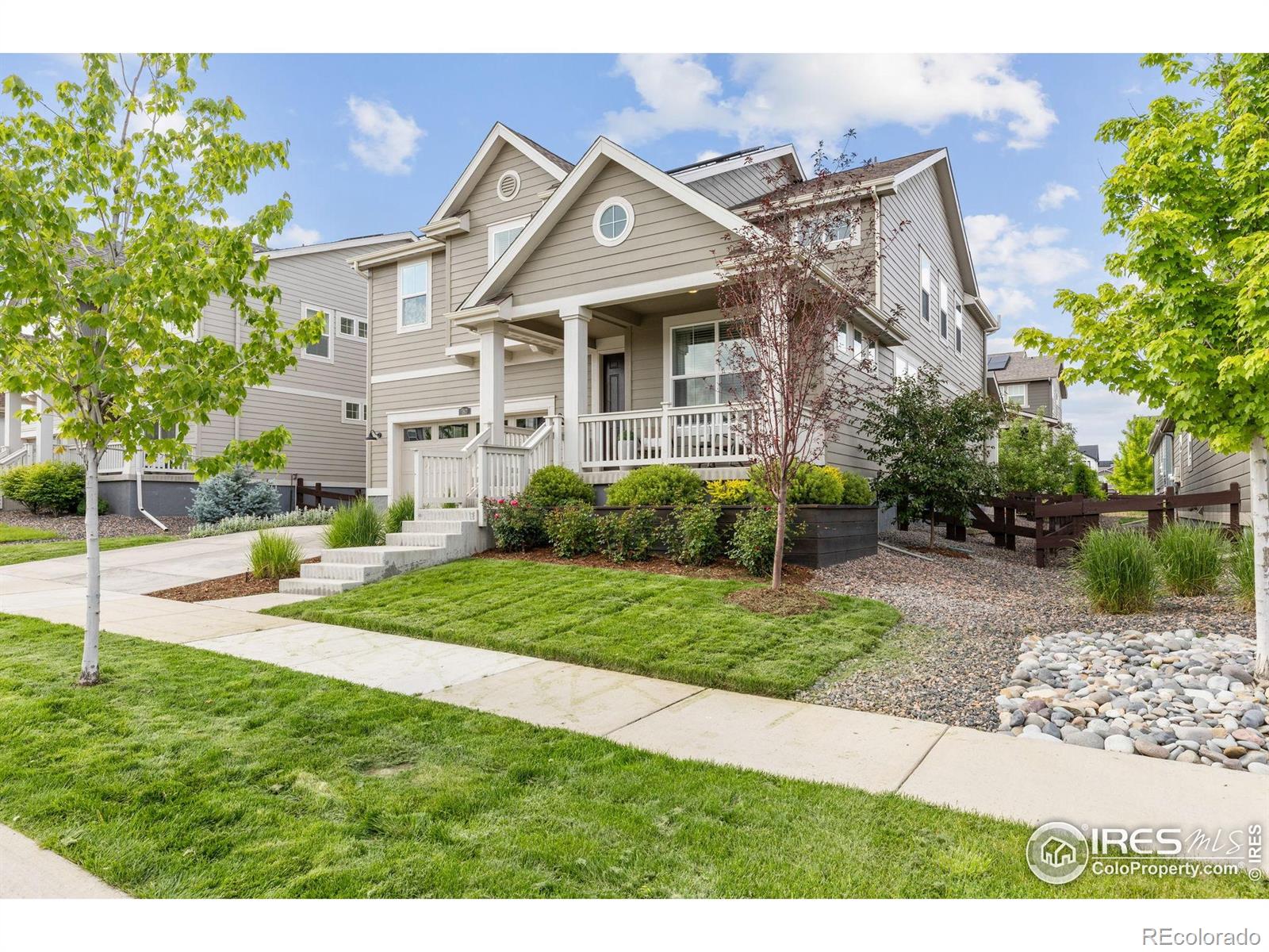 Report Image #1 for 767  Cabot Drive,Erie, Colorado