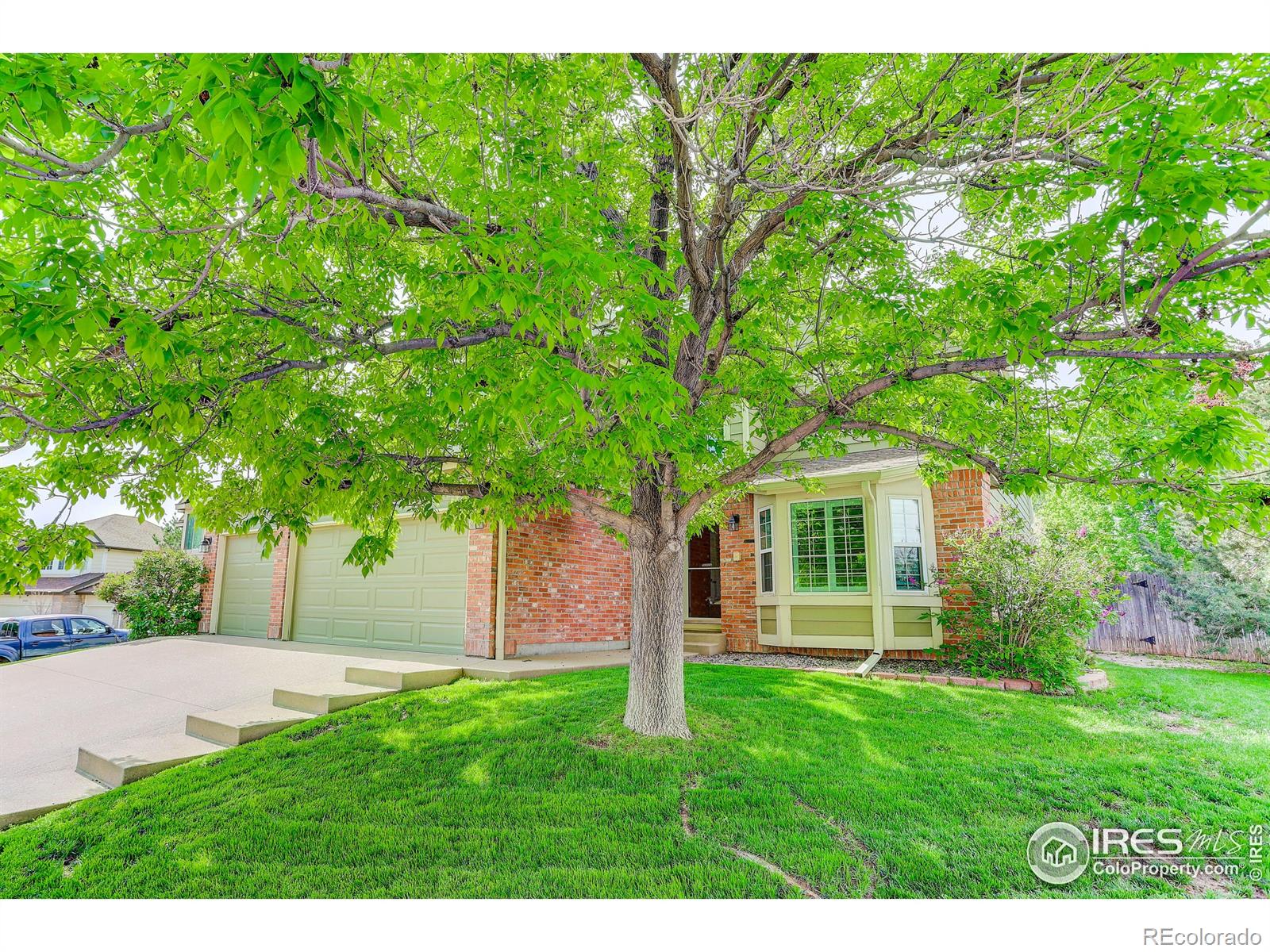 Report Image #1 for 11535  Briarwood Lane,Parker, Colorado