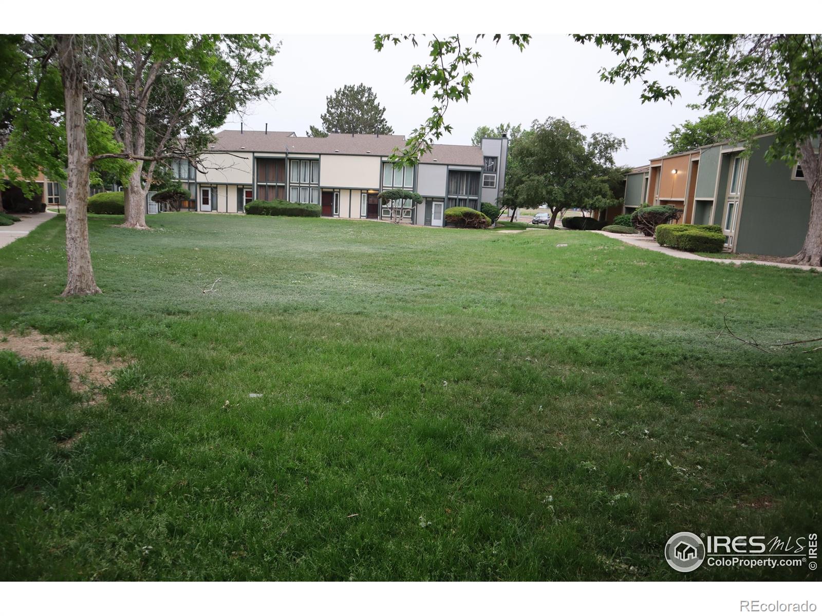 Report Image #1 for 10350  Tumbleweed Drive,Thornton, Colorado