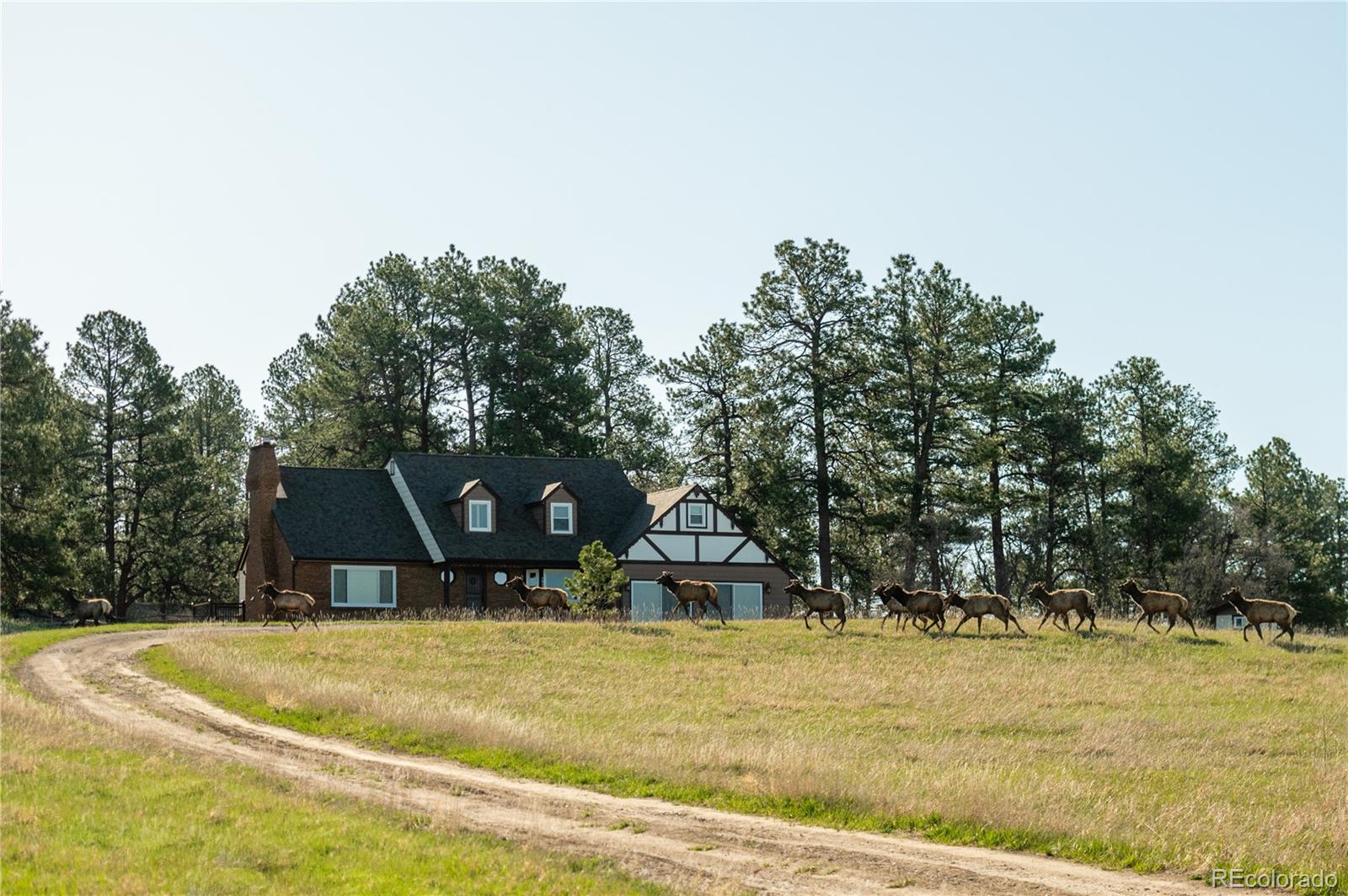 Report Image #1 for 10522  Bayou Gulch Road,Parker, Colorado
