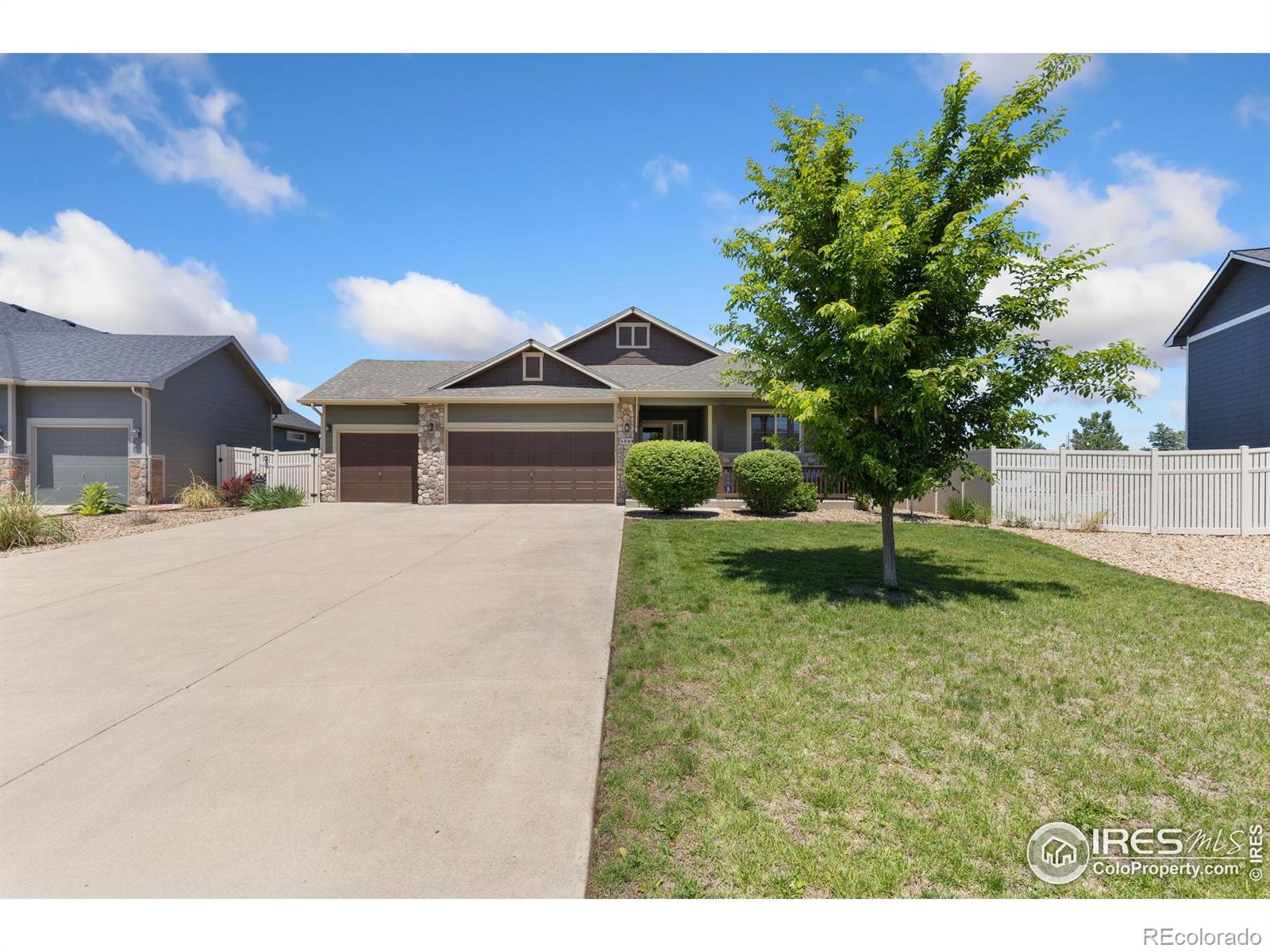 Report Image #1 for 5869  Vinca Avenue,Longmont, Colorado