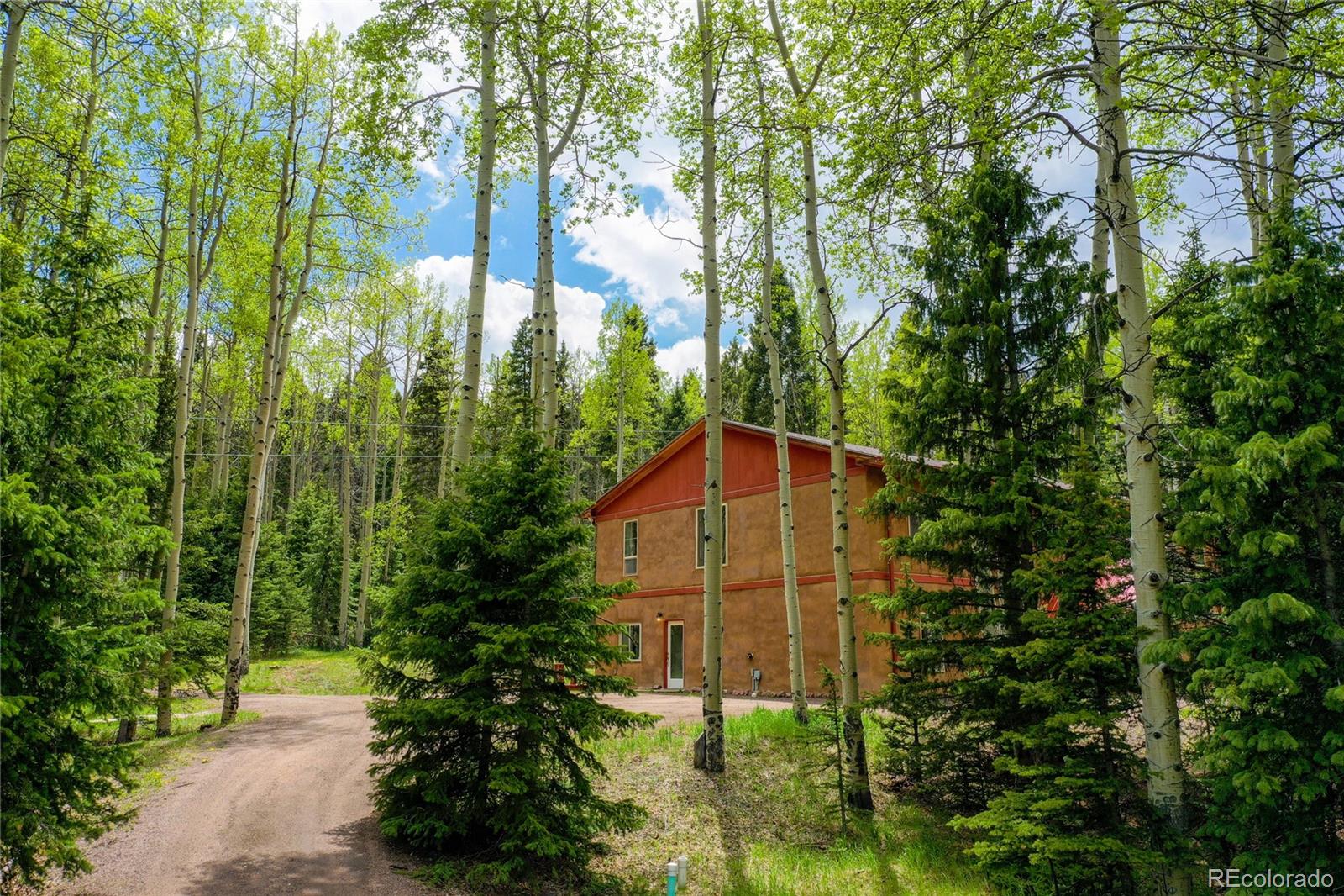 Report Image #1 for 10955  Grenadier RD ,Woodland Park, Colorado