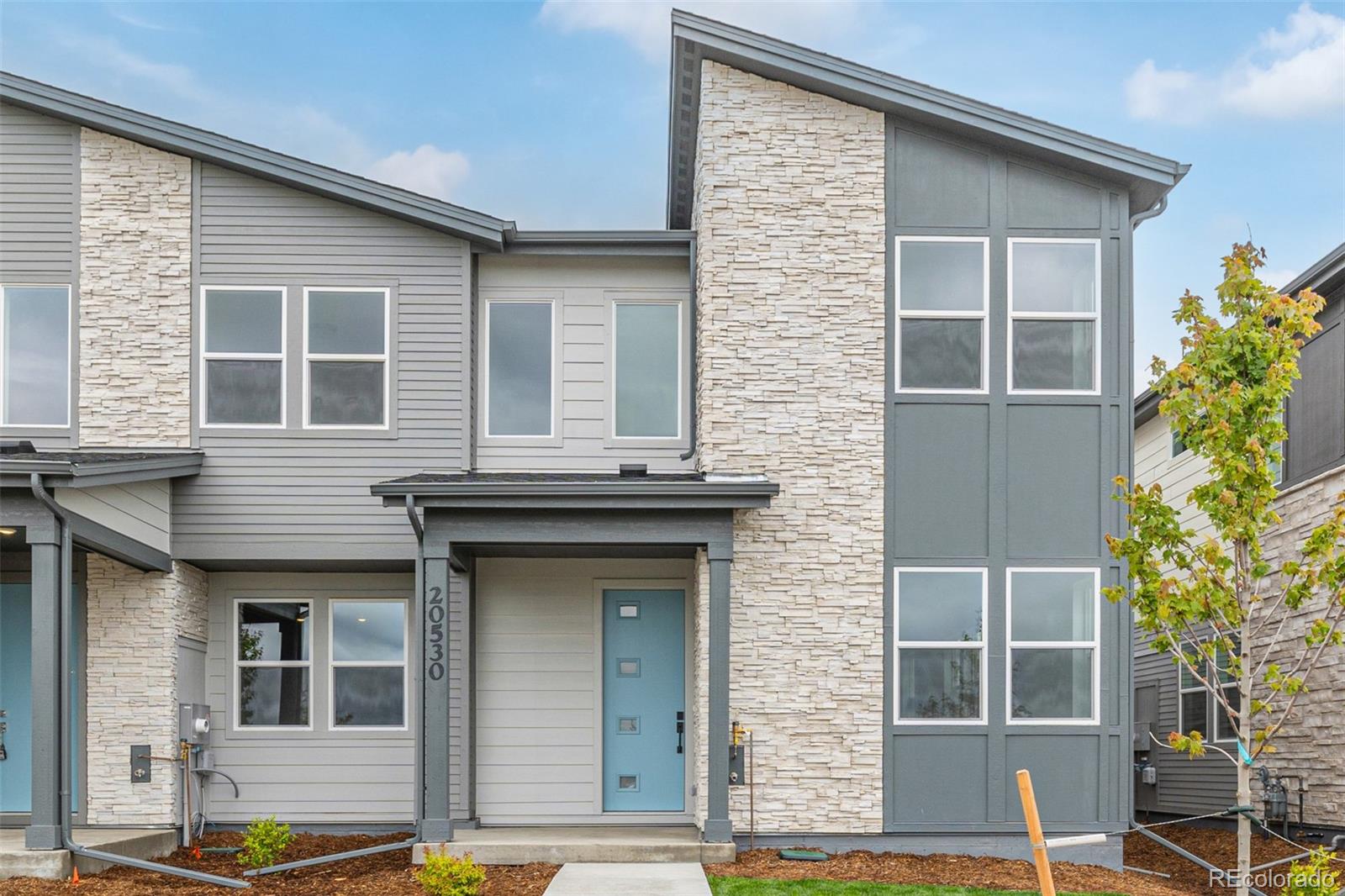 Report Image #1 for 20530 E 58th Avenue,Aurora, Colorado