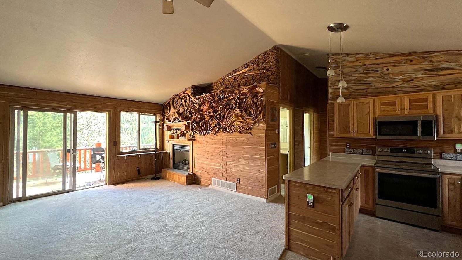 Report Image #1 for 303  Virginia Road,Bailey, Colorado