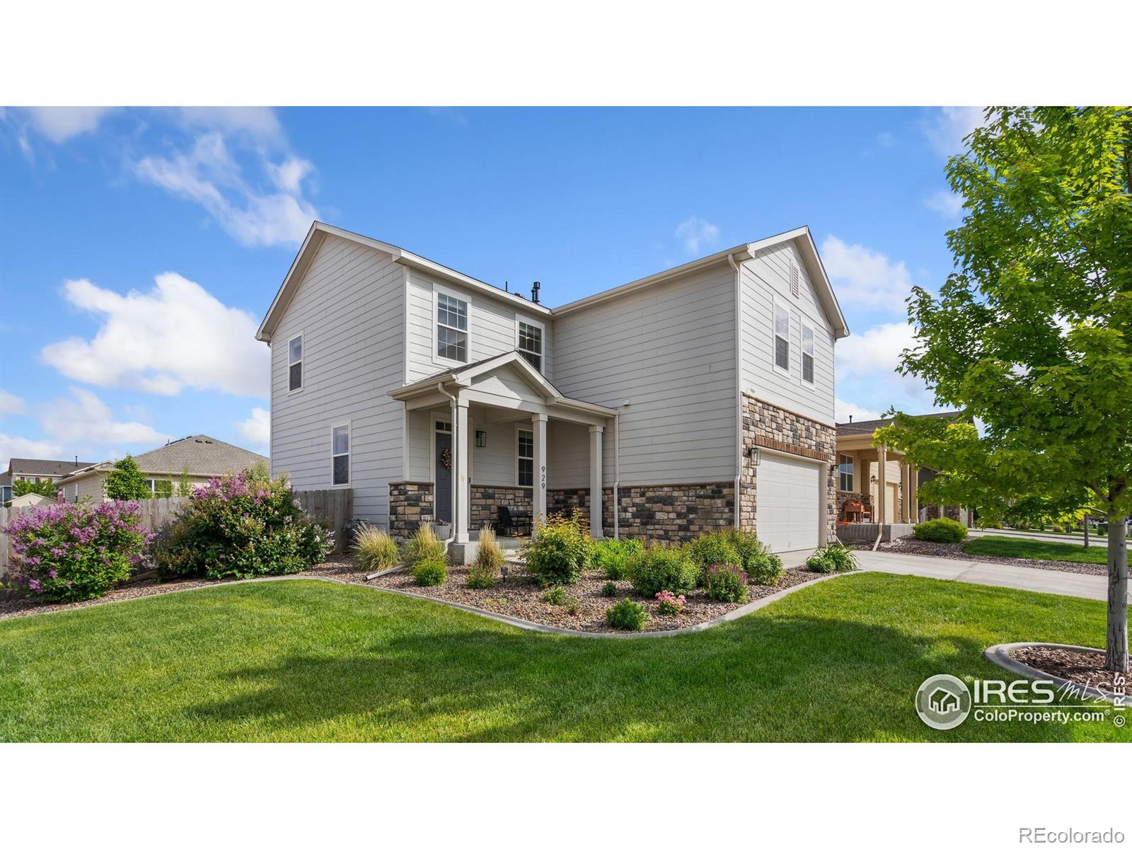 Report Image #1 for 929  Charlton Drive,Windsor, Colorado