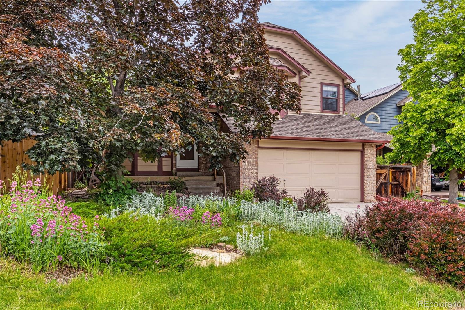 Report Image #1 for 473  Somerset Drive,Golden, Colorado