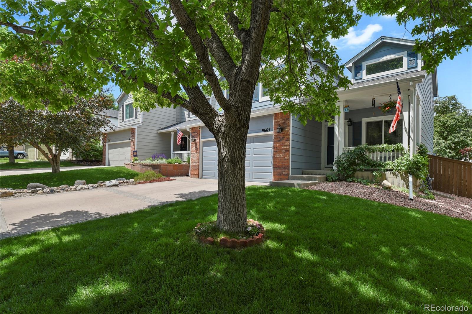 Report Image #1 for 9665  Whitecliff Place,Highlands Ranch, Colorado