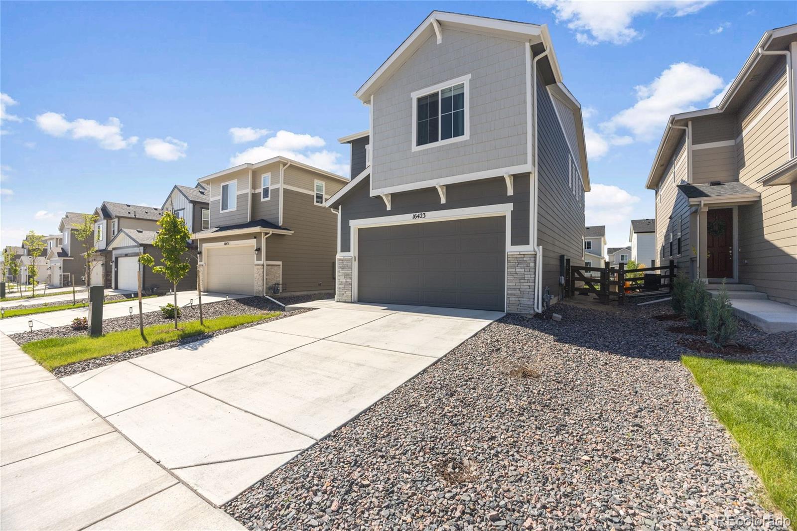 Report Image #1 for 16423  Mountain Flax Drive,Monument, Colorado