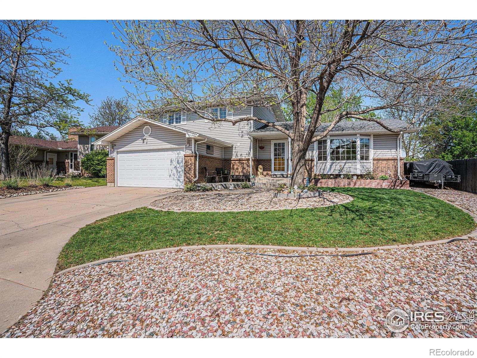 Report Image #1 for 514  Palisade Mountain Drive,Windsor, Colorado