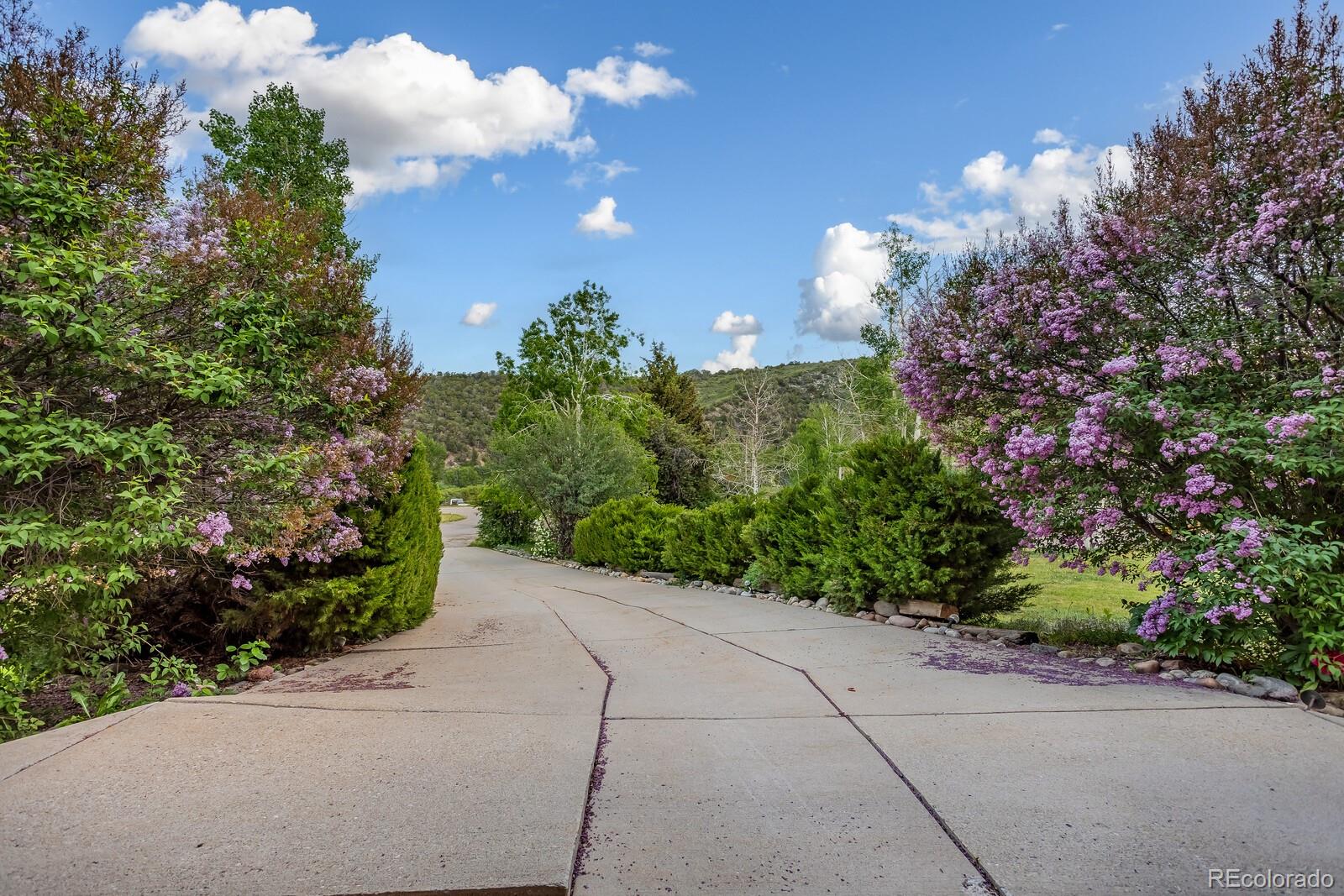 Report Image #1 for 112 W Sunlight Court,Glenwood Springs, Colorado